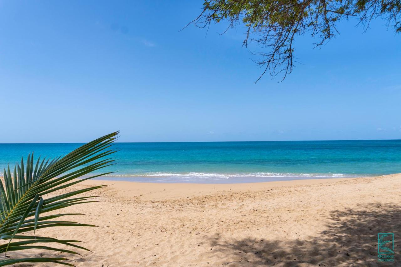 Magnifique Et Spacieux T2 Proche De La Plage - La Kiss House Apartamento Deshaies Exterior foto